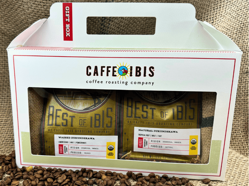 DK-Processing-Set-2025-v.5