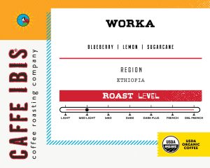 Organic Worka (Ethiopia)